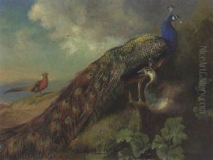 Pfauenpaar by Julius Scheuerer