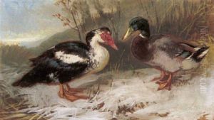 Zwei Enten