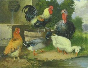 Gans, Ente, Truthahn, Hahn Und Huhn Am Wasser Bei Einem Futtertrog Vor Dem Brunnen