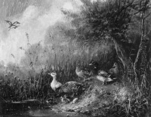 Enten Am Seeufer by Julius Scheuerer
