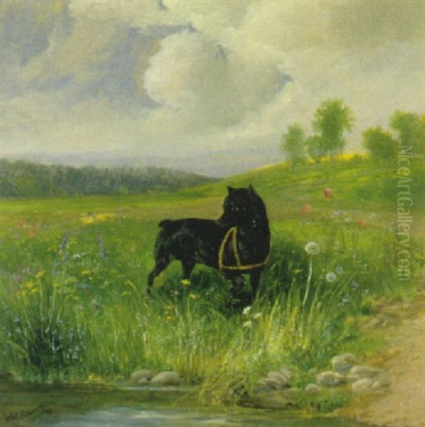 Schwarzer Hund In Landschaft - view 1