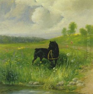 Schwarzer Hund In Landschaft Schwarzer Hund In Landschaft