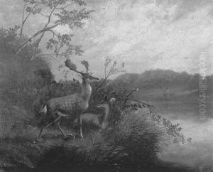 Damhirsche In Landschaft