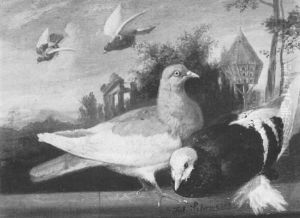 Doves By A Dovecot by Julius Scheuerer