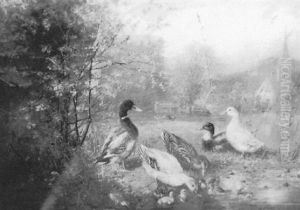 Ducks And Ducklings By A Pond