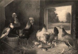 Federvieh Vor Futternapf Im Stall by Julius Scheuerer