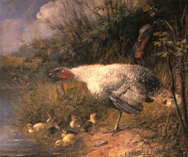 Defending The Ducklings - view 1