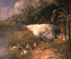 Defending The Ducklings