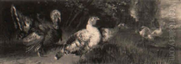 Hens And Turkeys By The Lake - view 1