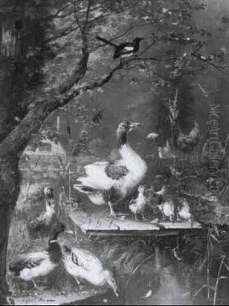 Enten, Ganse Und Huhner - view 1