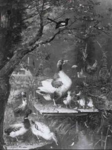 Enten, Ganse Und Huhner