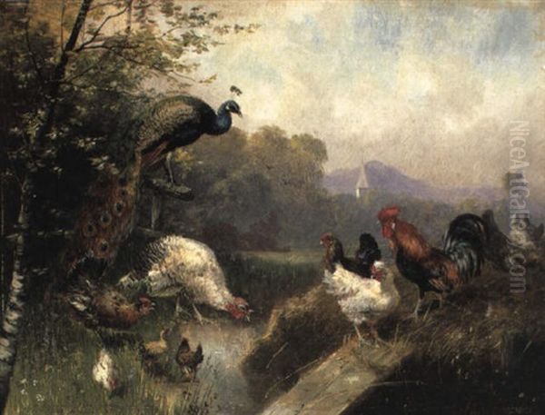 Ein Pfau Und Federvieh An Einem Bach - view 1