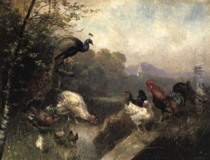 Ein Pfau Und Federvieh An Einem Bach