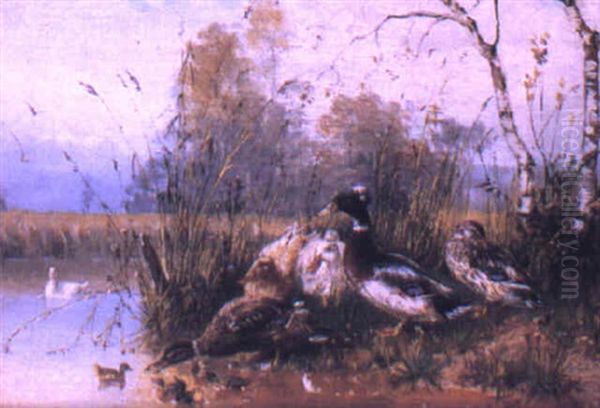 Ducks And Ducklings By A River - view 1