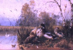 Ducks And Ducklings By A River