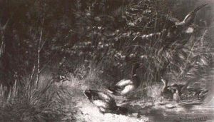 Enten Am Teich