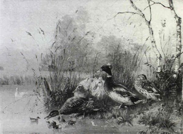 Ducks By A River Bank - view 1