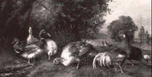Truthahn, Enten, Hahn Und Huhner Auf Einer Wiese by Julius Scheuerer