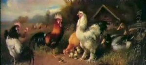 Hahne, Krucken Und Enten In Wiesenlandschaft Hahne, Krucken Und Enten In Wiesenlandschaft