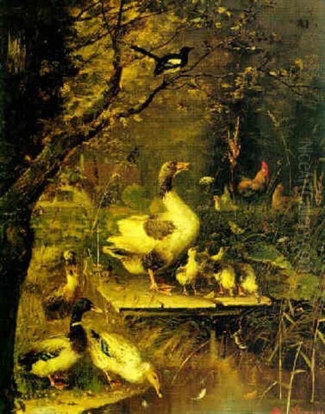 Ducks By The Water's Edge - view 1