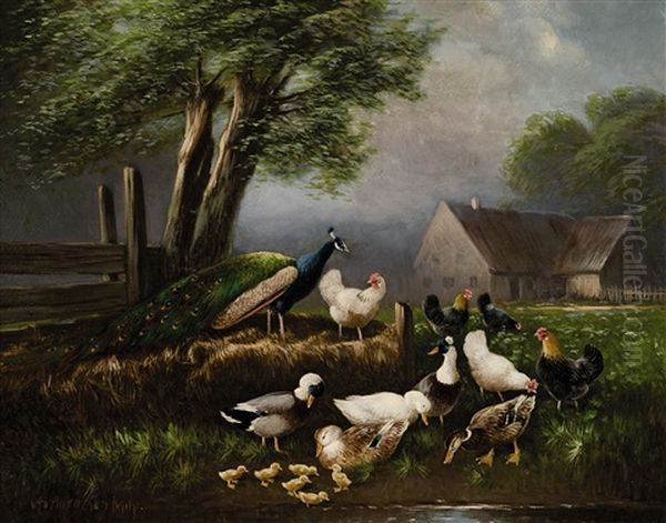 Huhner, Enten Und Pfau Am Wasser - view 1