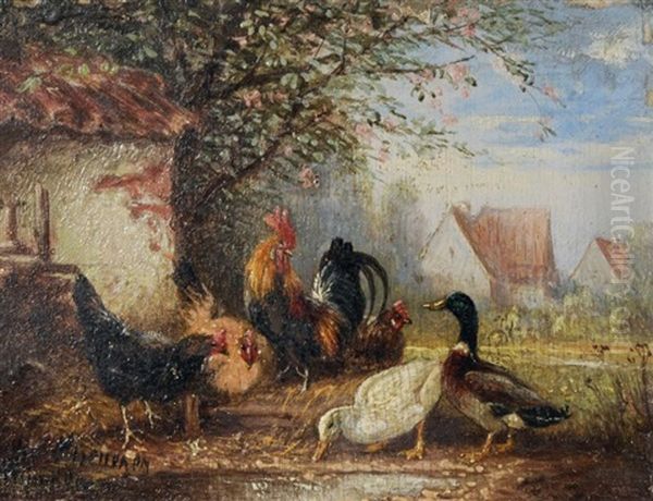 Enten, Huhner Und Ein Hahn - view 1