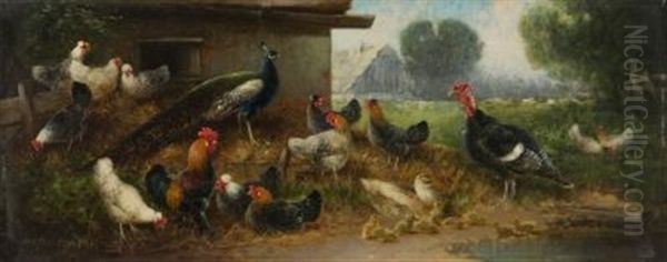 Huhnerhof Mit Pfau Und Truthahn - view 1
