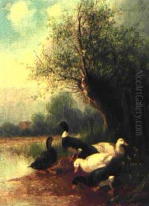 Enten Am Teich Unter Einer Kopfweide