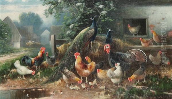 Chickens, Pheasant And Turkey In The Yard - view 1