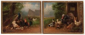Pfau Und Huhner (+ Truthahn Und Huhner; 2 Works) by Otto Scheuerer