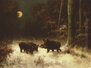 Wildschweine Bei Mondlicht