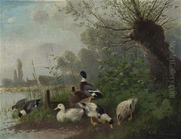 Enten - view 1