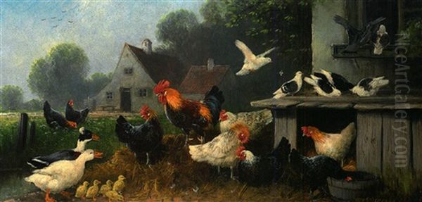 Huhnerhof Mit Enten, Tauben, Kuken, Huhnern Und Hahn - view 1