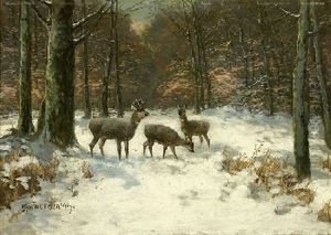 Rehe Im Winterlichen Wald Rehe Im Winterlichen Wald
