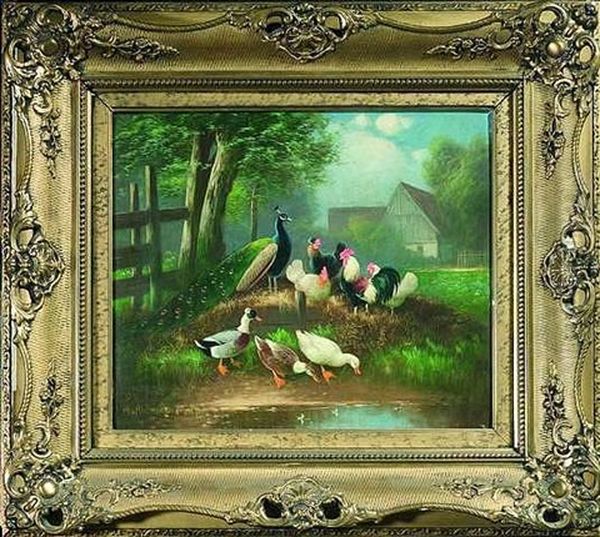 Bunte Huhnerschar Mit Enten Und Pfau Am Rande Eines Gehofts - view 1