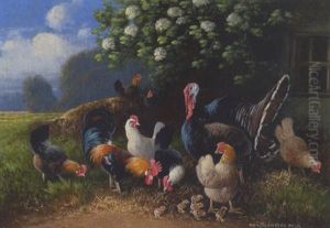 Truthahn, Hahn, Huhner Und Kuken Vor Dem Stall by Otto Scheuerer