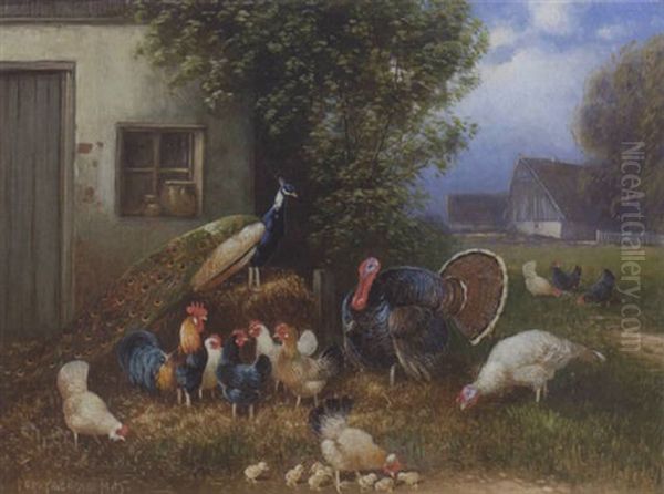 Truthahn, Pfau, Hahn, Huhner Und Kuken - view 1