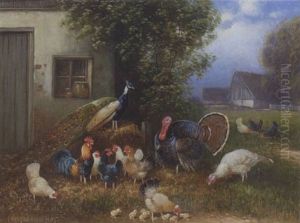 Truthahn, Pfau, Hahn, Huhner Und Kuken
