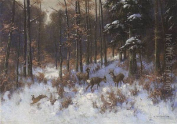 Rehe Im Winterwald - view 1