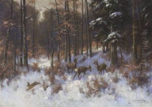 Rehe Im Winterwald Rehe Im Winterwald
