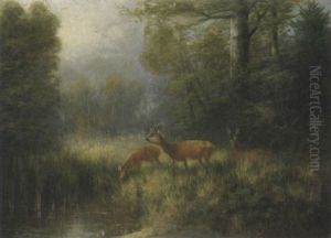 Rehe Am Waldweiher by Otto Scheuerer
