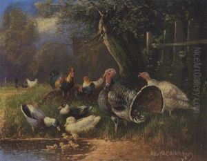 Truthahn Mit Henne, Ente Und Huhner by Otto Scheuerer