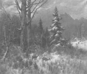 Rehe Im Winterwald Rehe Im Winterwald