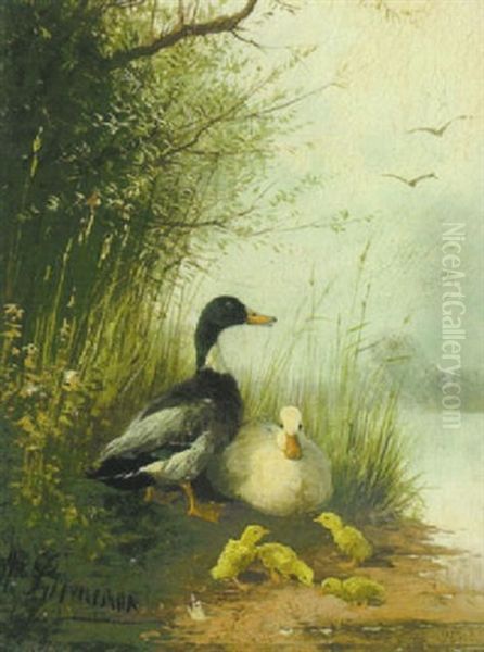Erpel, Ente Und Kuken Am Seeufer - view 1