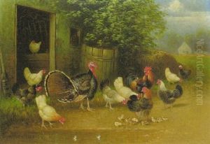 Truthahn, Hahn, Huhner Und Kuken Vor Dem Stallgebaude