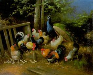 Hahn, Huhner, Kuken Und Pfau Vor Einem Gartenzaun
