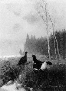 Balz Der Auerhahne by Otto Scheuerer