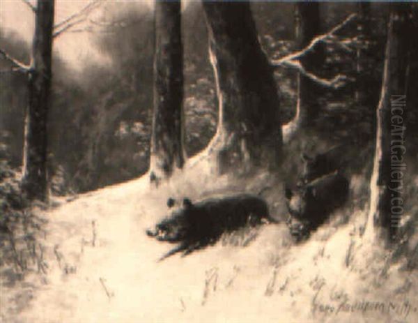Wildschweine Brechen Aus Dem Wald - view 1