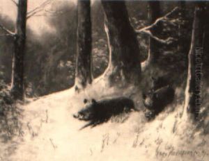 Wildschweine Brechen Aus Dem Wald