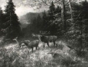 R"hrender Hirsch Mit Hirschkuhen Im Wald R"hrender Hirsch Mit Hirschkuhen Im Wald